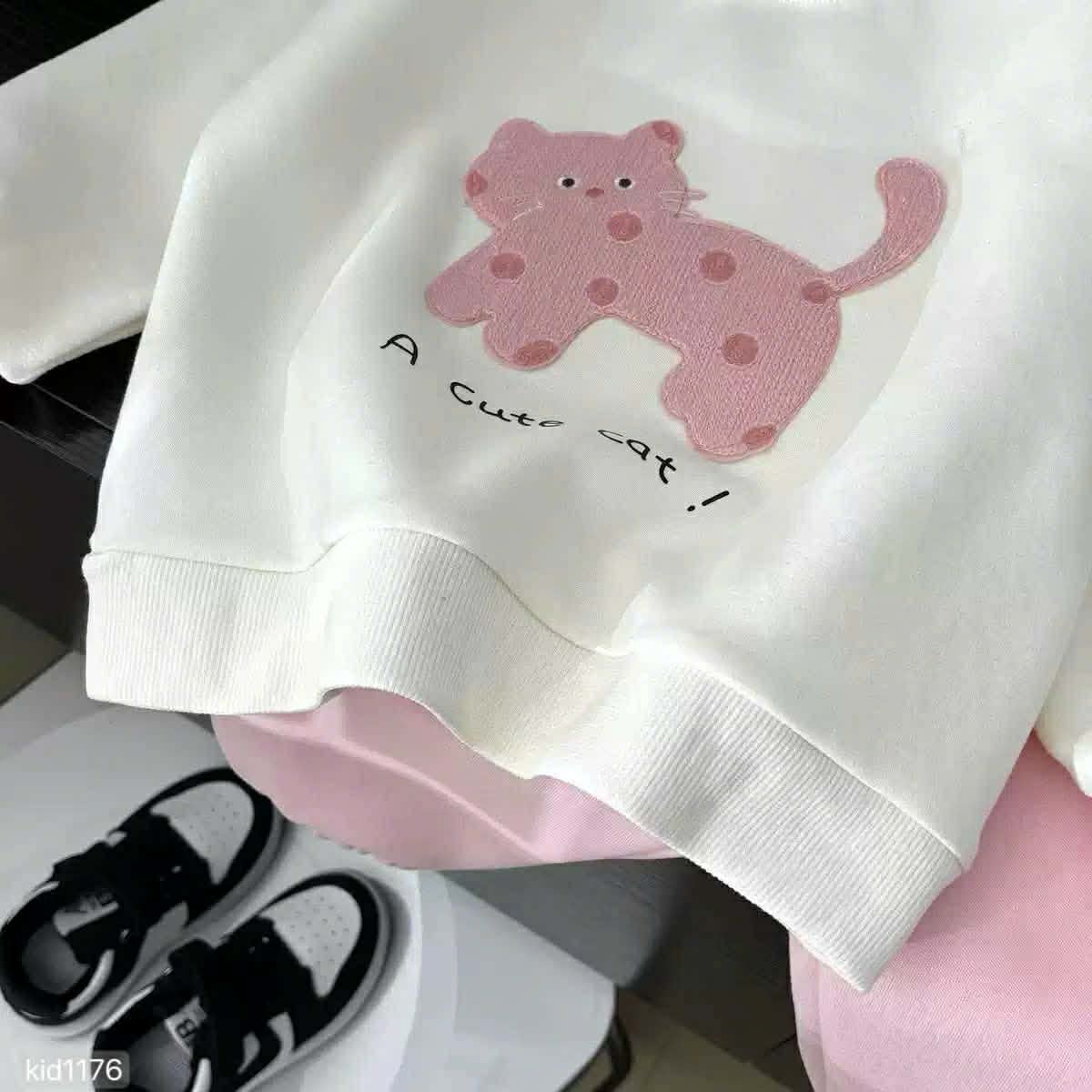 Matching Two-piece Sweatshirt Set