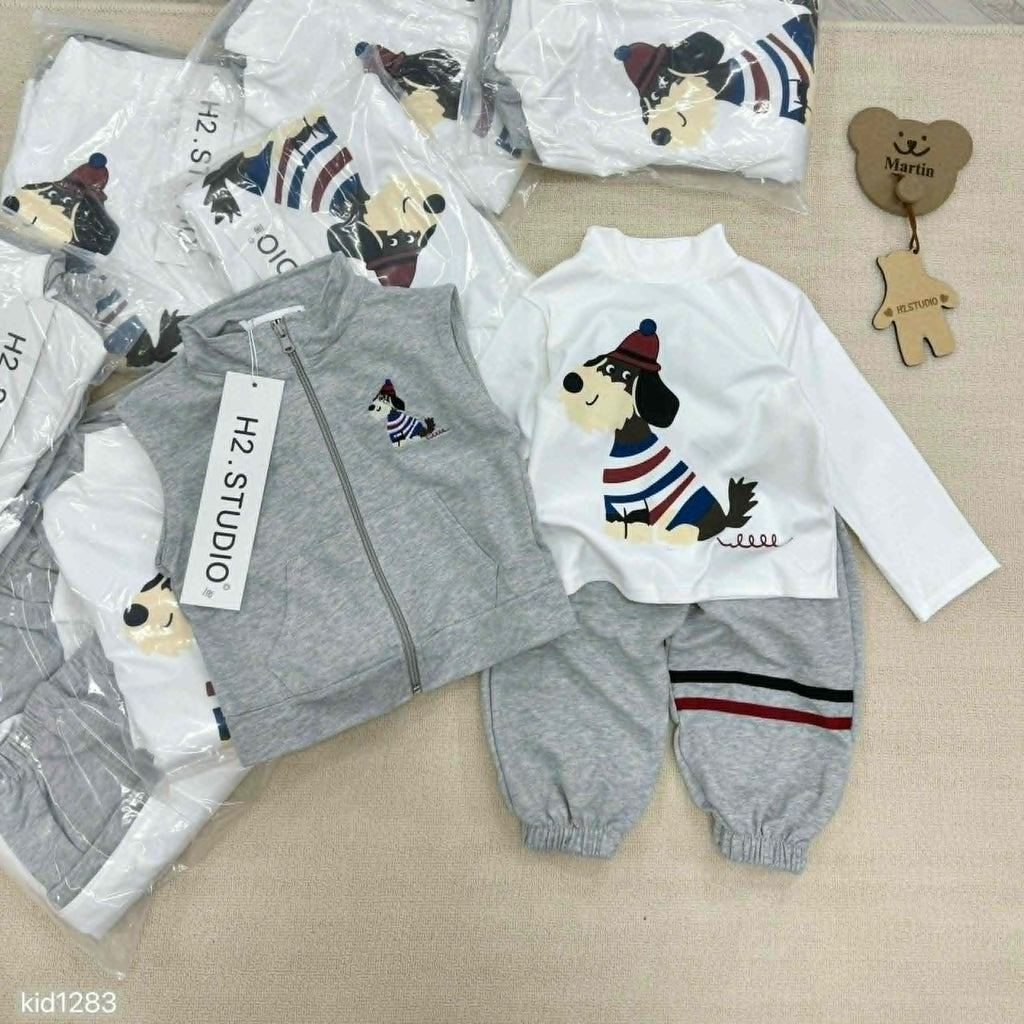 Boy 3-Pieces Grey Jogger Set