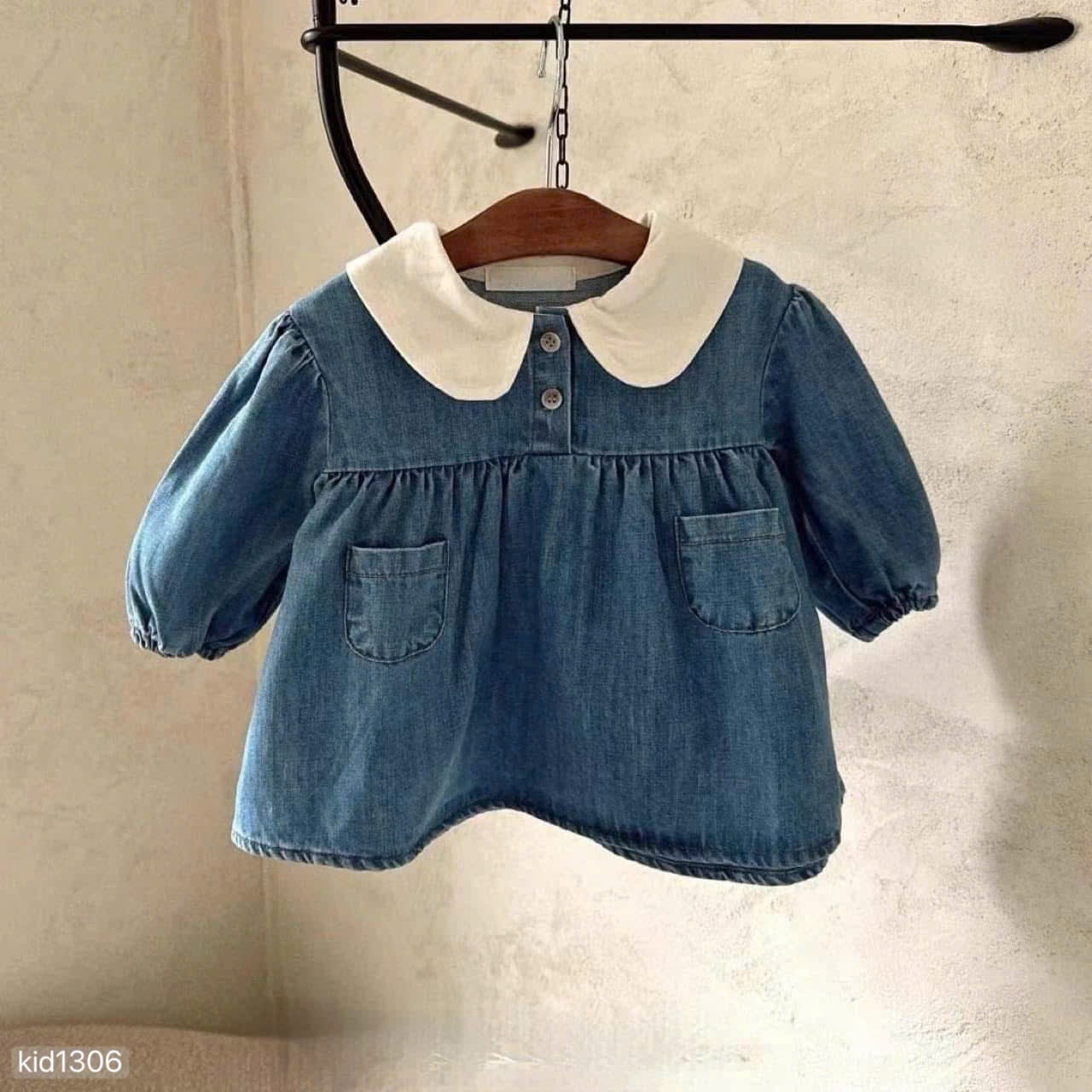 Peter Pan collar Denim Dress