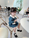 Peter Pan collar Denim Dress