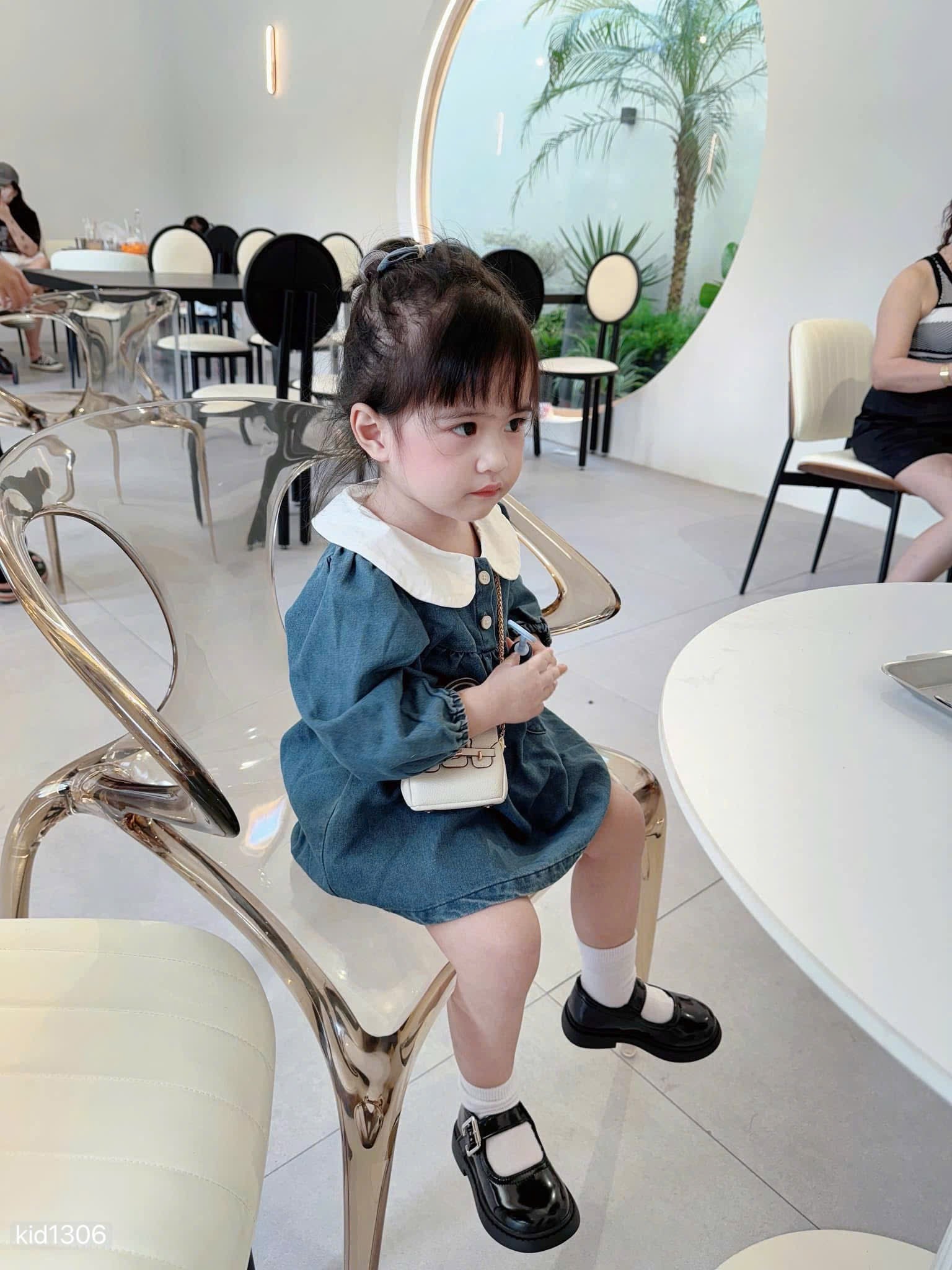 Peter Pan collar Denim Dress