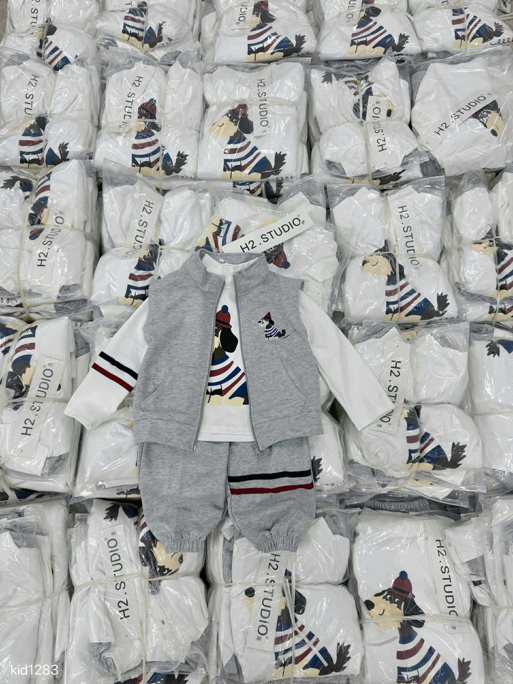 Boy 3-Pieces Grey Jogger Set