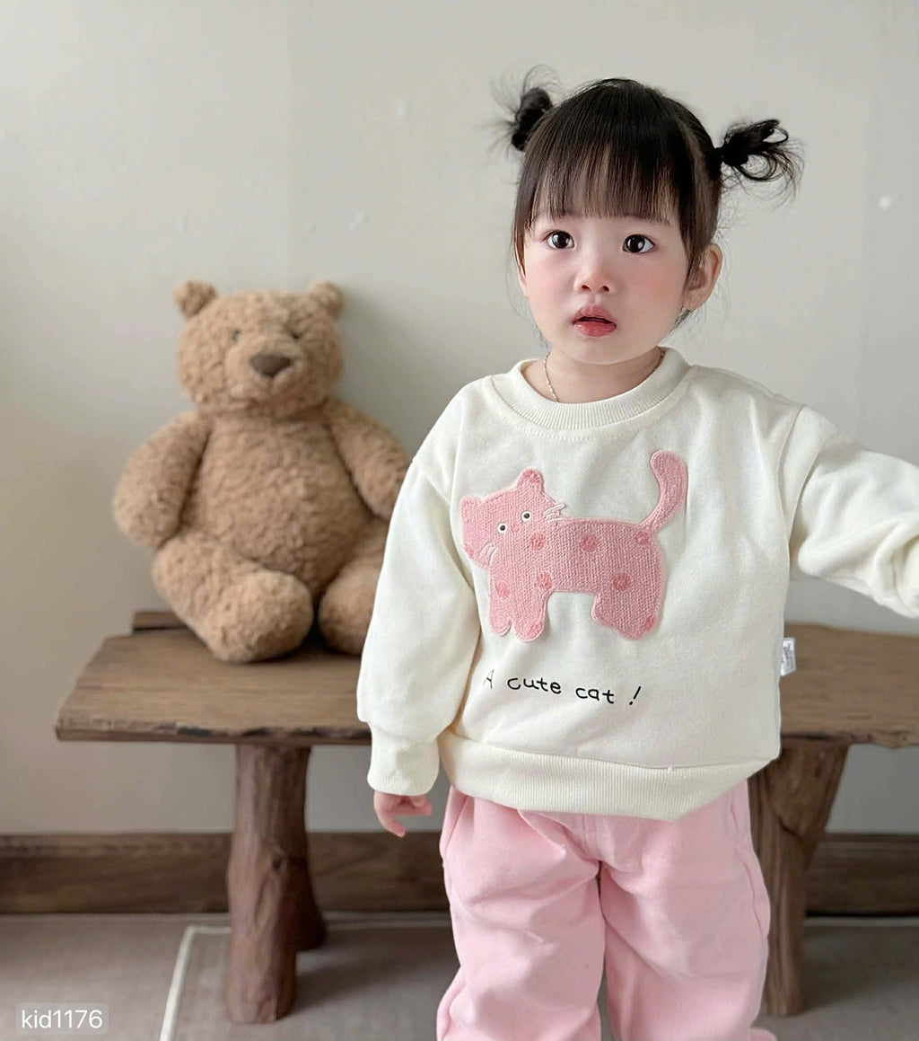 Matching Two-piece Sweatshirt Set