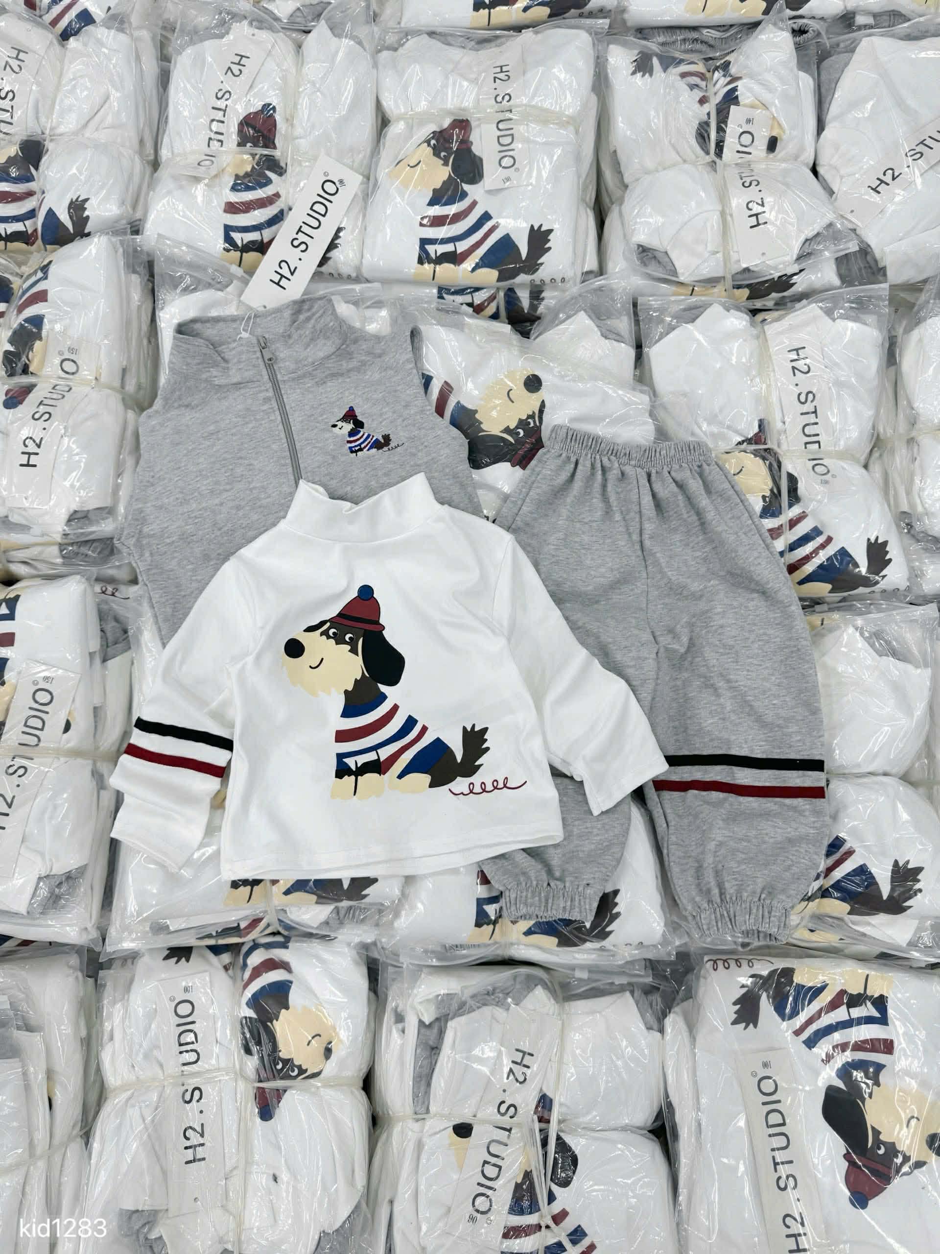 Boy 3-Pieces Grey Jogger Set